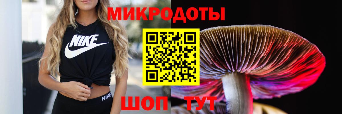 Ливны  Псилоцибиновые грибы мицелий  Псилоцибиновые грибы Magic Shrooms  Вход с VPN 